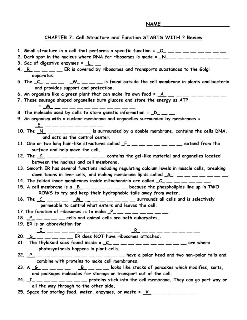 Featured image of post Cell Structure And Function Worksheet Answers Key