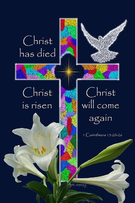 Featured image of post Christ Has Died Christ Has Risen