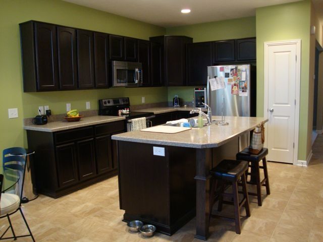 Featured image of post Green Kitchen Walls With Dark Cabinets