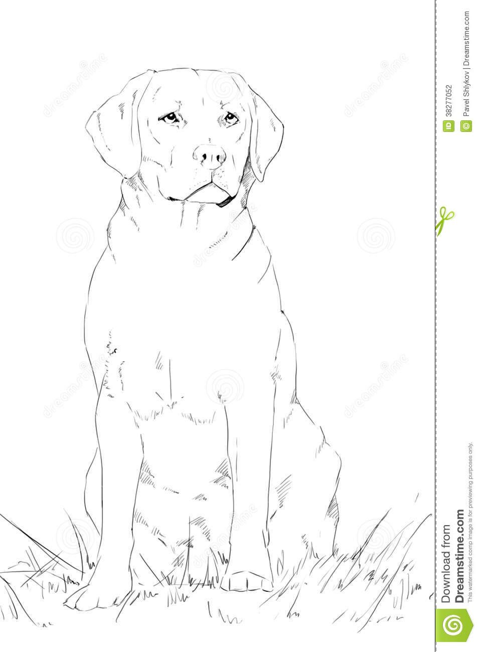 Featured image of post Id Picture Of A Dog Drawing