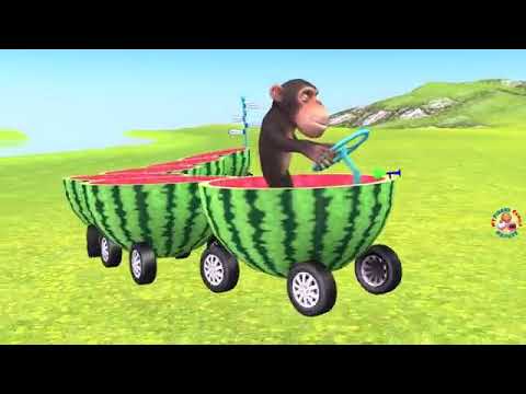 Featured image of post Monkey In Watermelon Car