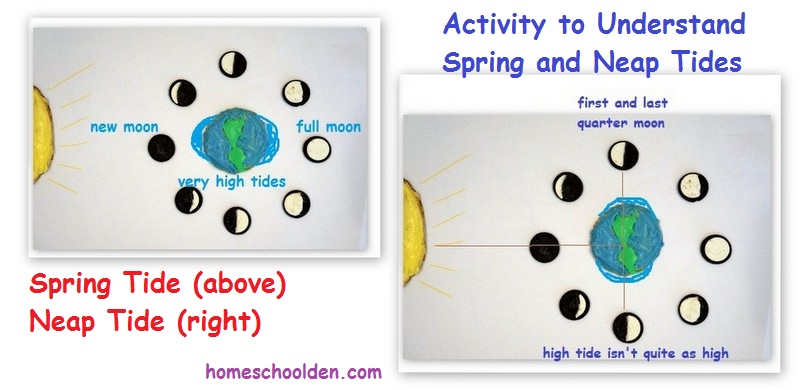 Featured image of post Moon And Tides Activity