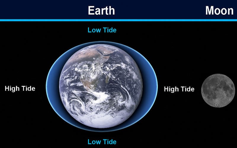 Featured image of post Moon And Tides Facts