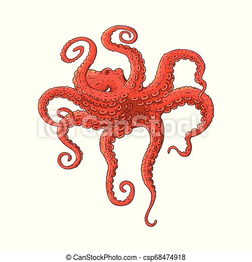 Featured image of post Octopus Swimming Away Drawing